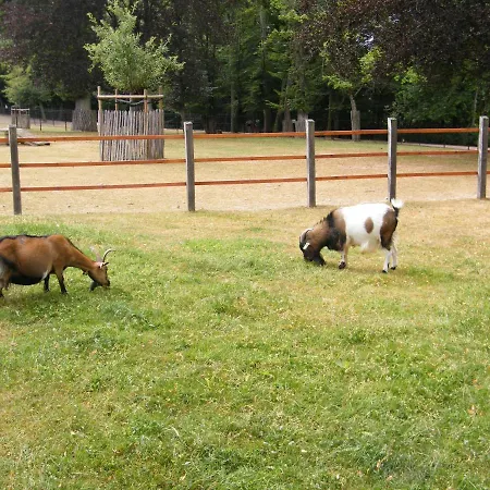 Lejlighed Chez Laurent Et Sandrine - Parking - Jusqu'a 4 - 6 Couchages - Possibilite De Petit-dejeuner - Possibilite De Privatif Chantraine