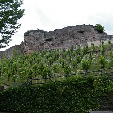 Chez Laurent Et Sandrine - Parking - Jusqu'a 4 - 6 Couchages - Possibilite De Petit-dejeuner - Possibilite De Privatif - Piscine A 20 Minutes