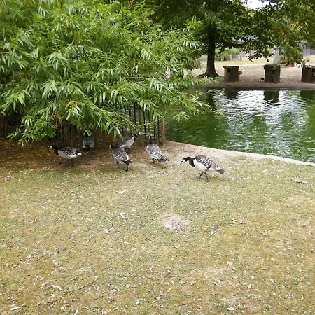 Apartment Chez Laurent et Sandrine