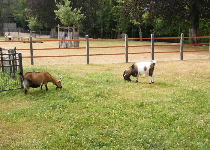 Apartmán Chez Laurent Et Sandrine - Parking - Jusqu'a 4 - 6 Couchages - Possibilite De Petit-dejeuner - Possibilite De Privatif - Piscine A 20 Minutes Chantraine