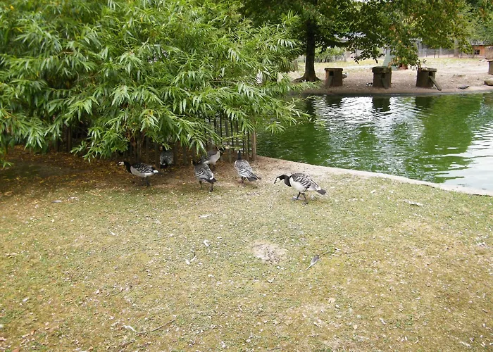Apartmán Chez Laurent Et Sandrine - Parking - Jusqu'a 4 - 6 Couchages - Possibilite De Petit-dejeuner - Possibilite De Privatif - Piscine A 20 Minutes